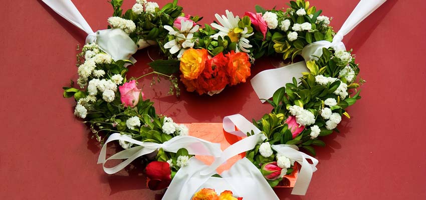 云呼死你网页版