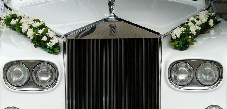 云呼死你网页版